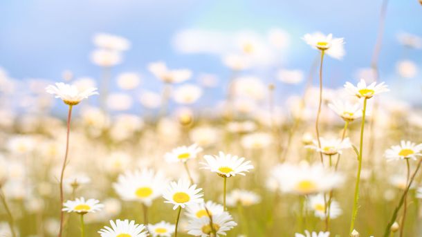 Men&rsquo;s Bodyland Spring Awakening Massage